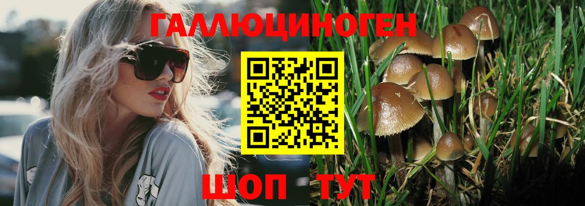 Псилоцибиновые грибы Psilocybe  Вход с VPN  Ханты-Мансийск 